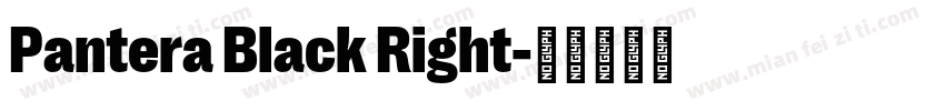 Pantera Black Right字体转换